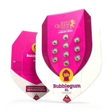 Bubblegum xl RQS